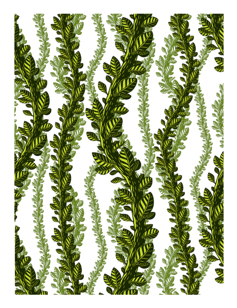 Edible Icing Cupcake Cake Topper Image tropical seaweed fern leaves