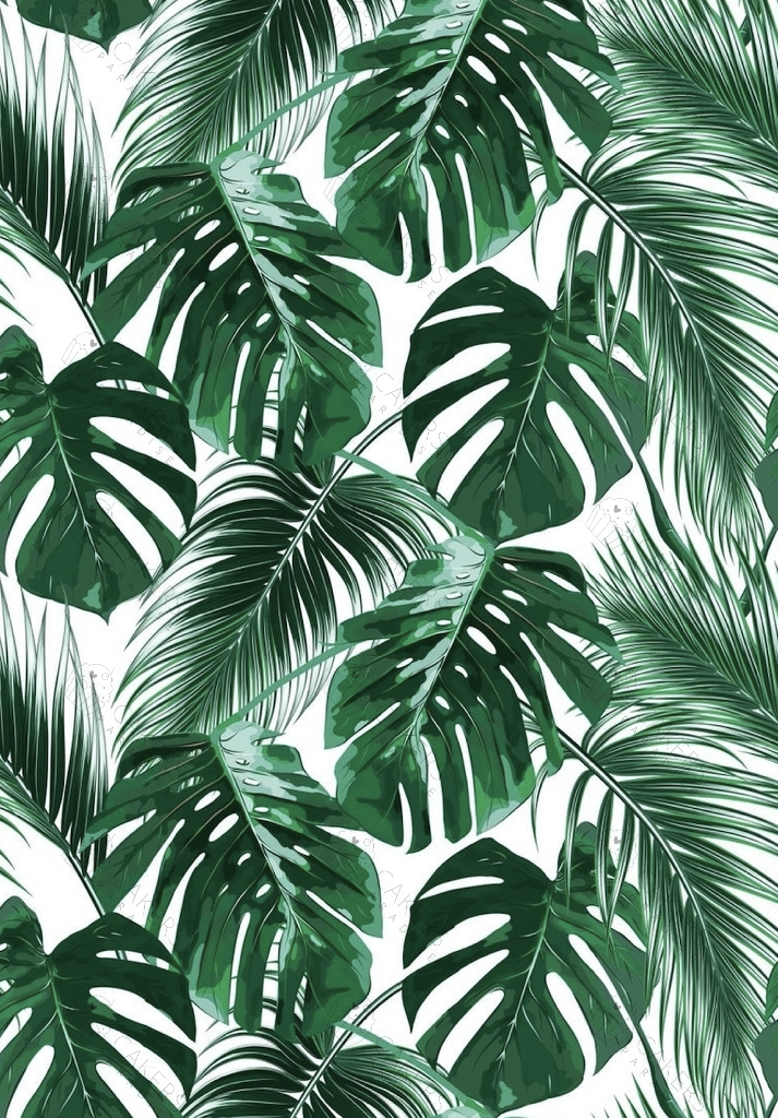 A4 Edible Icing Image - Tropical Leaves