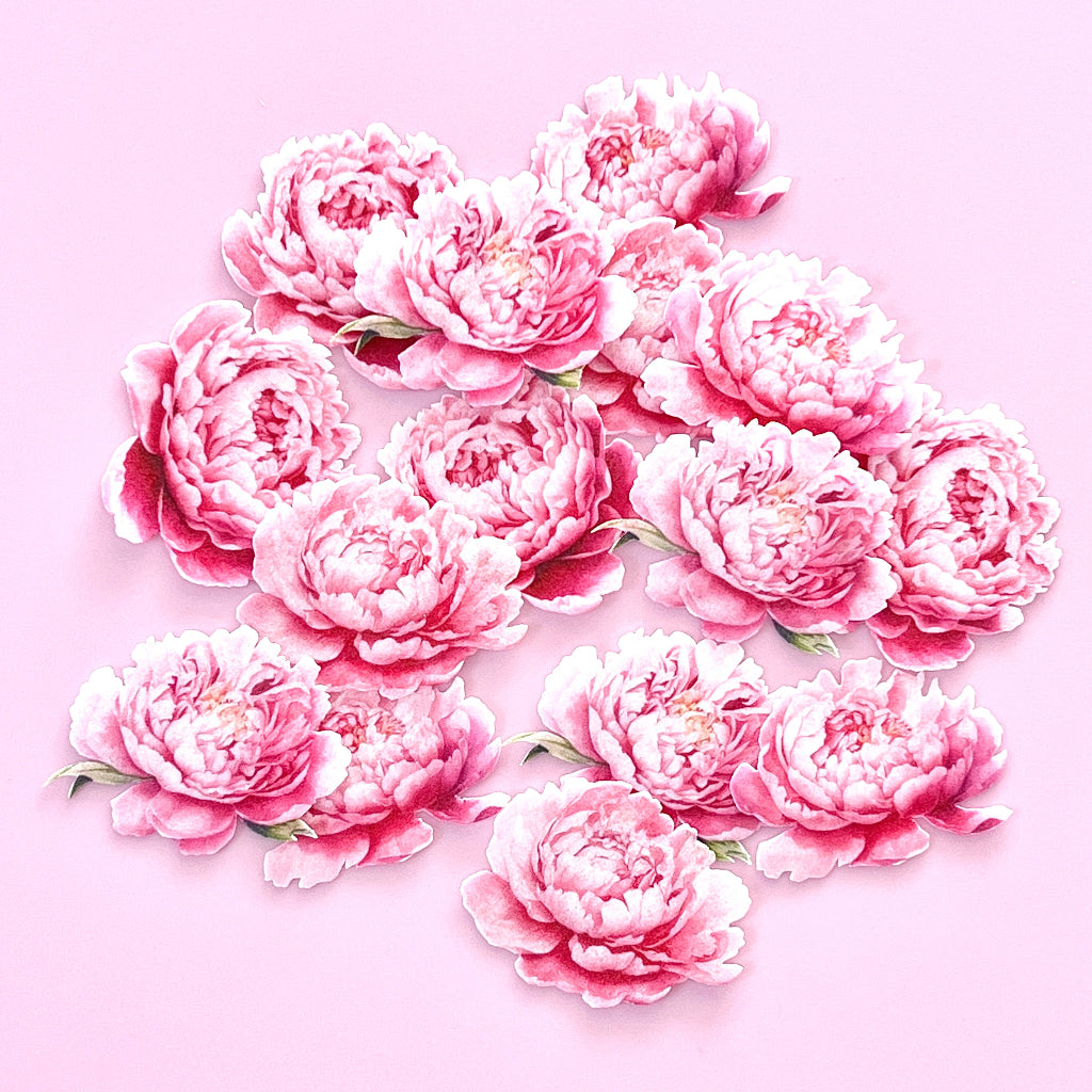 Edible Wafer Cupcake Toppers Bows - Peony 20pc