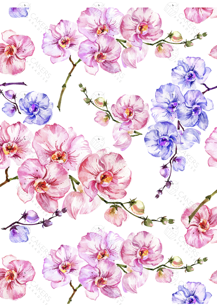 A4 Edible Icing Image - Tropical Orchid 2