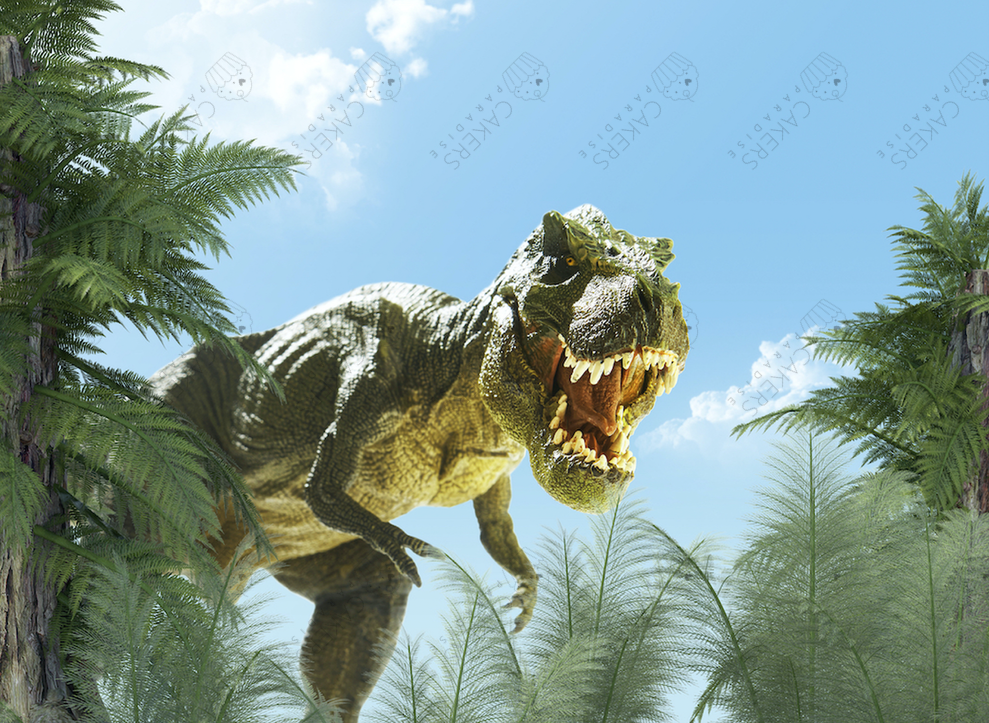 A4 Edible Icing Image - Dinosaurs 2