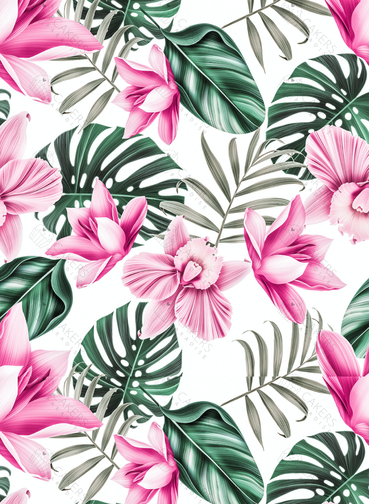A4 Edible Icing Image - Tropical Orchid Pink