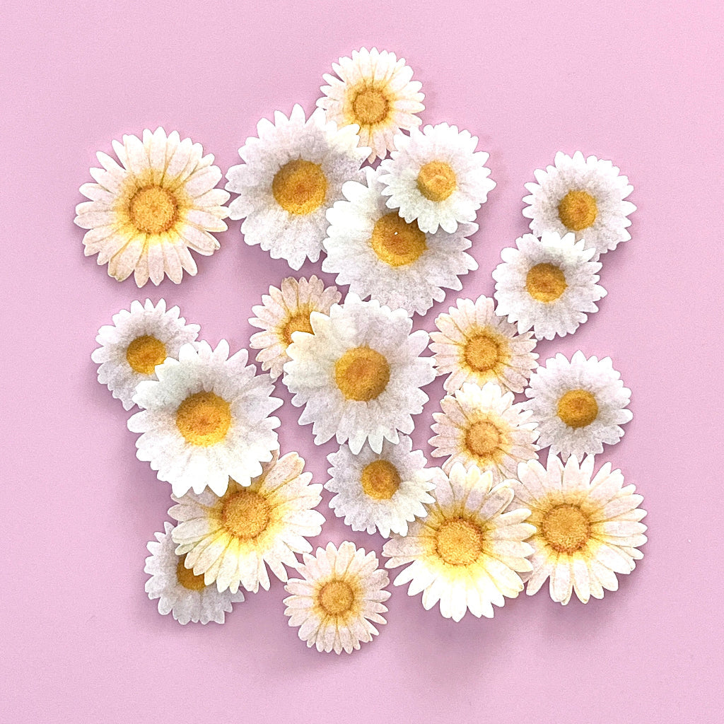 Edible Wafer Cupcake Toppers Bows - Daisies 20pc